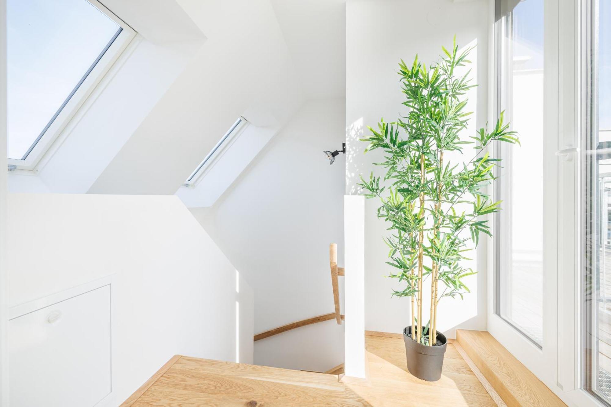 וינה Symphony Apartments 38 - Modern Loft With Terrace And Grill In Central Location מראה חיצוני תמונה